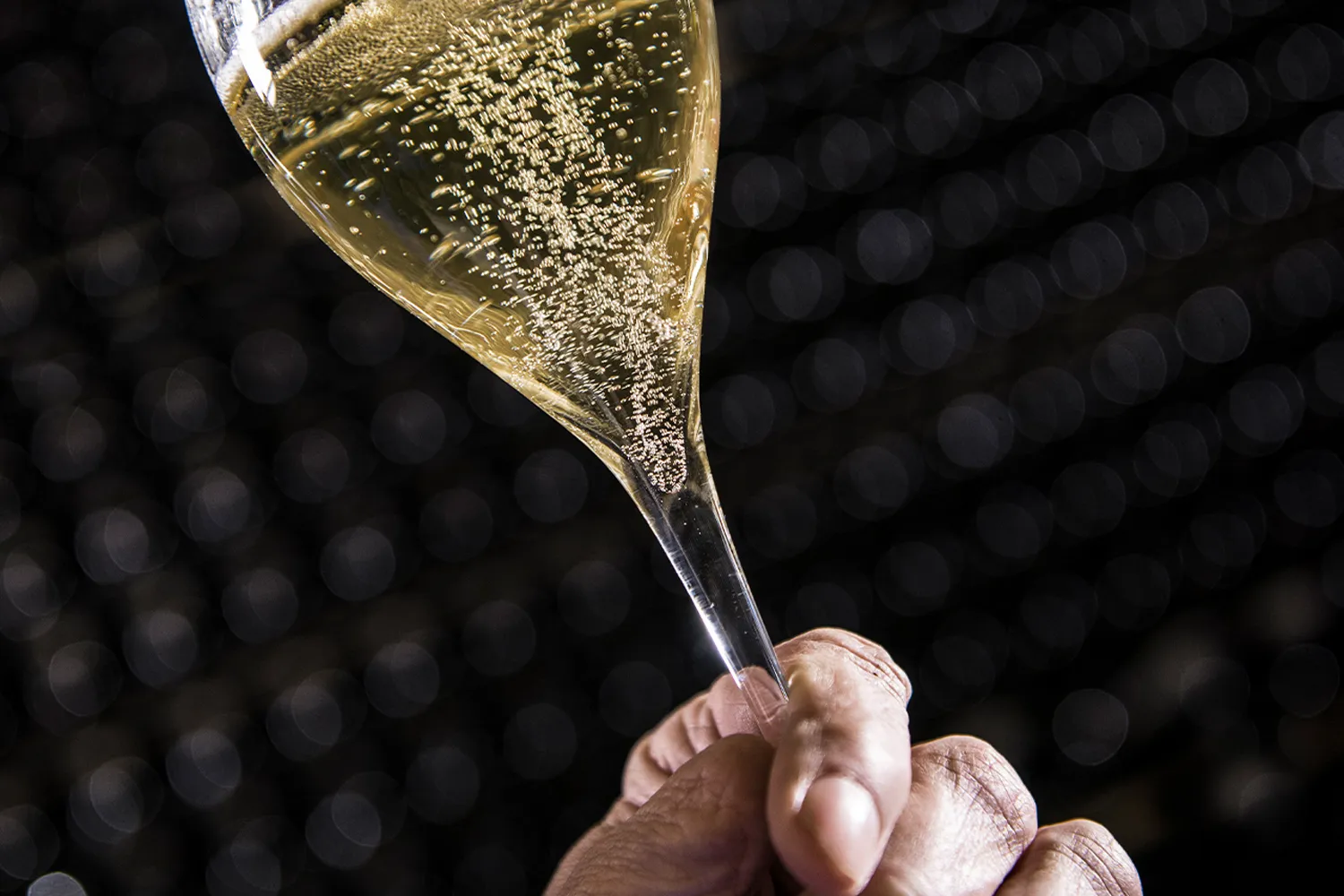 Hand hält Sektglas mit perlendem Arunda vor dunklem Kellerhintergrund mit unscharfen Flaschenlagern, dramatisches Spotlight