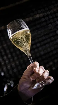 Hand hält tulpenförmiges Glas mit perlendem Arunda-Sekt vor hunderten liegenden Sektflaschen im dunklen Keller, Spotlight