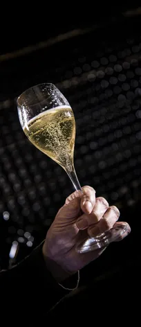 Hand hält tulpenförmiges Glas mit perlendem Arunda-Sekt vor hunderten liegenden Sektflaschen im dunklen Keller, Spotlight