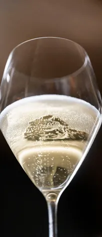 Tulpenförmiges Sektglas mit goldenem Arunda-Sekt und feiner Perlage vor dunklem Kellerhintergrund