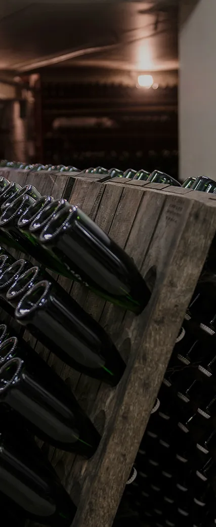 Holz-Rüttelpulte mit hunderten Sektflaschen im Arunda-Produktionskeller, Edelstahltanks im Hintergrund, Mölten