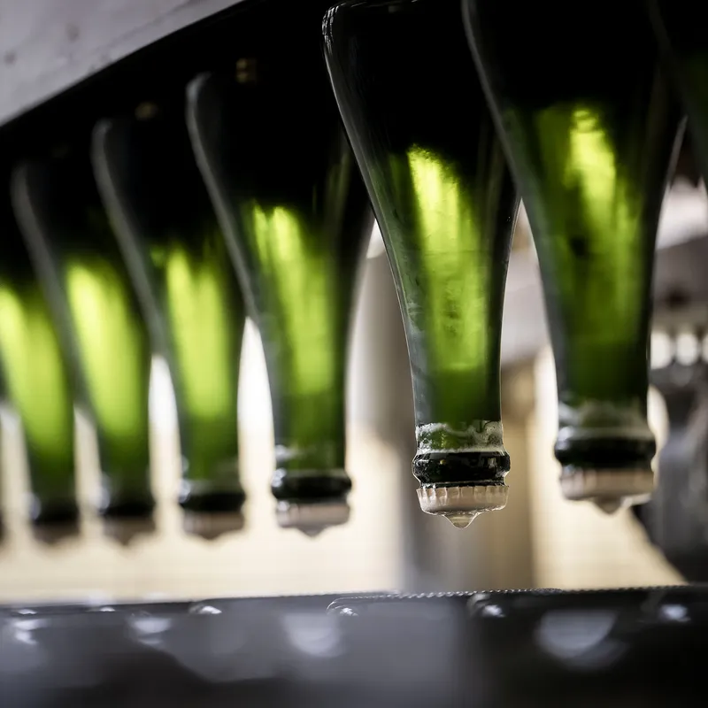 Dunkelgrüne Sektflaschen kopfüber im Rüttelpult mit Hefesediment am Kronkorken, warmes Gegenlicht im Kellerei-Raum