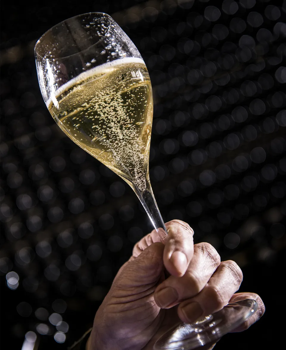 Hand hält tulpenförmiges Glas mit perlendem Arunda-Sekt vor hunderten liegenden Sektflaschen im dunklen Keller, Spotlight