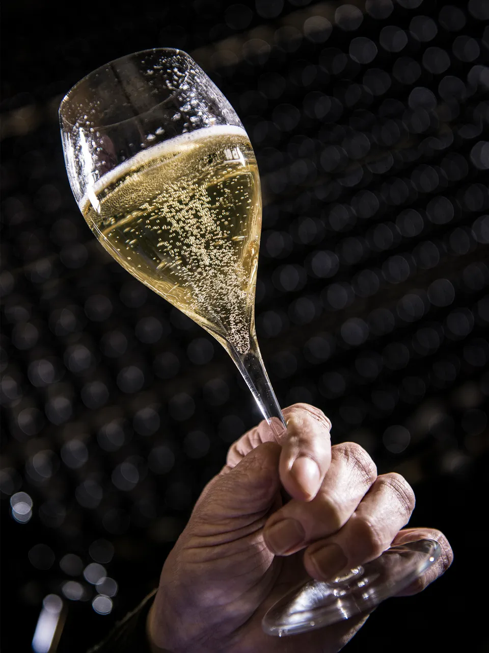 Hand hält tulpenförmiges Glas mit perlendem Arunda-Sekt vor hunderten liegenden Sektflaschen im dunklen Keller, Spotlight