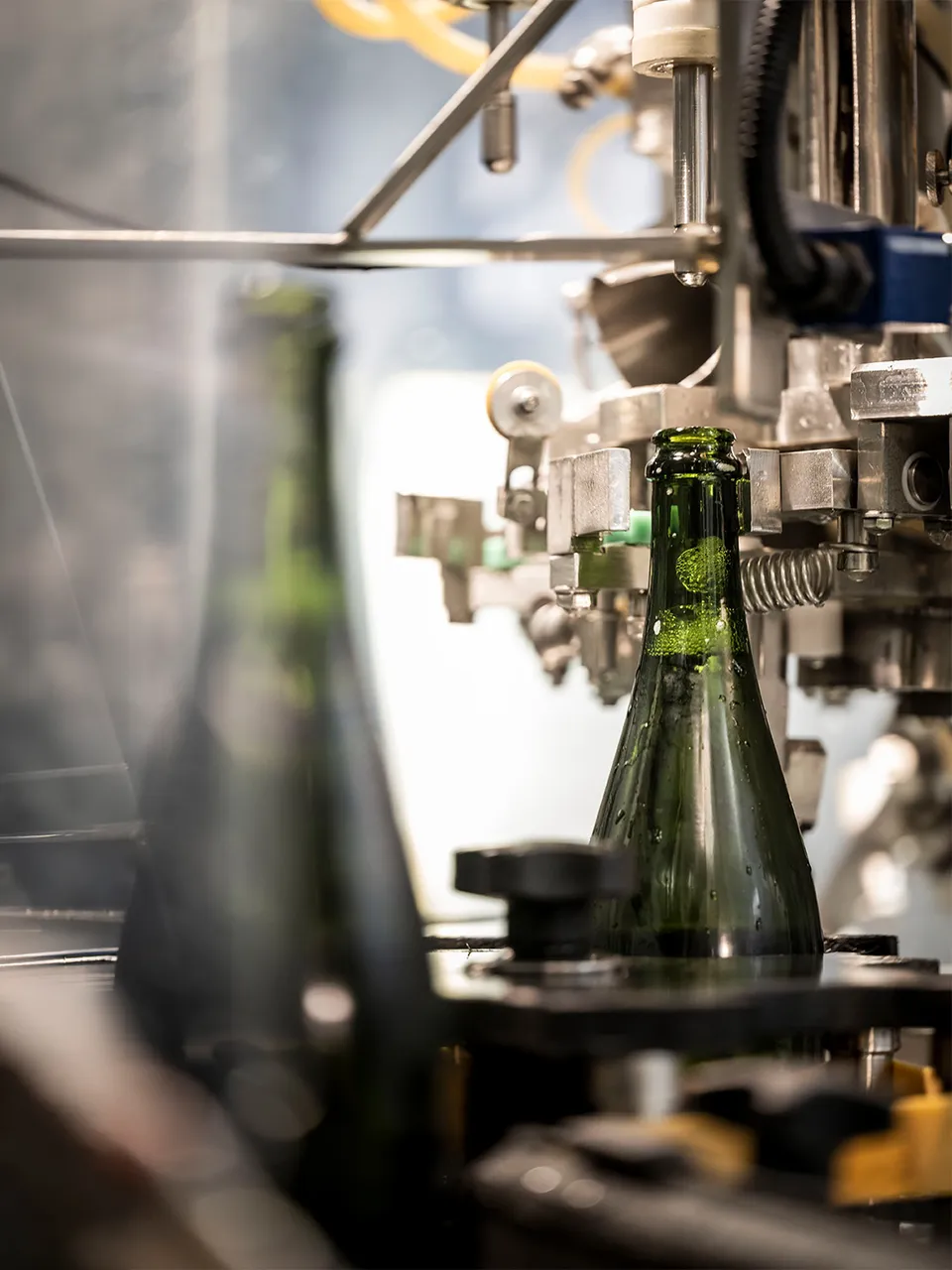 Dunkelgrüne Sektflasche in Edelstahl-Abfüllanlage mit Metallhalterungen und Schutzscheibe, Arunda-Produktion in Mölten